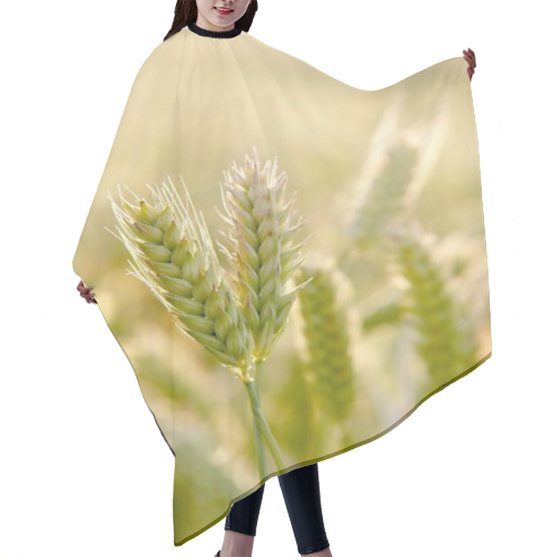 Personality  Wheat Ears Hair Cutting Cape