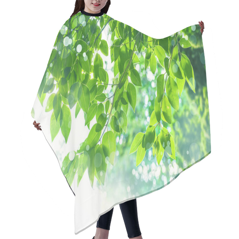 Personality  Green Leaves On Tree Branches Hair Cutting Cape