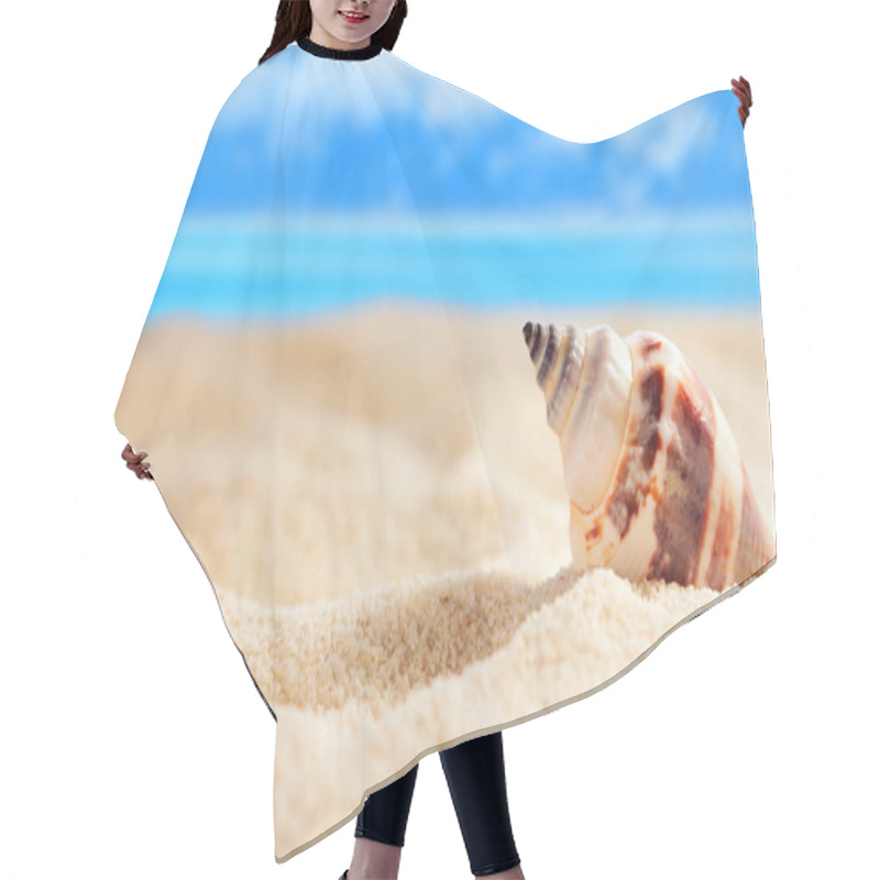 Personality  Cockleshell Hair Cutting Cape