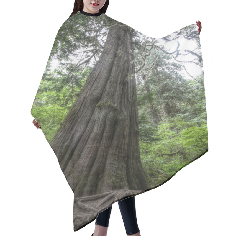 Personality  Old Growth Western Red Cedar Hair Cutting Cape