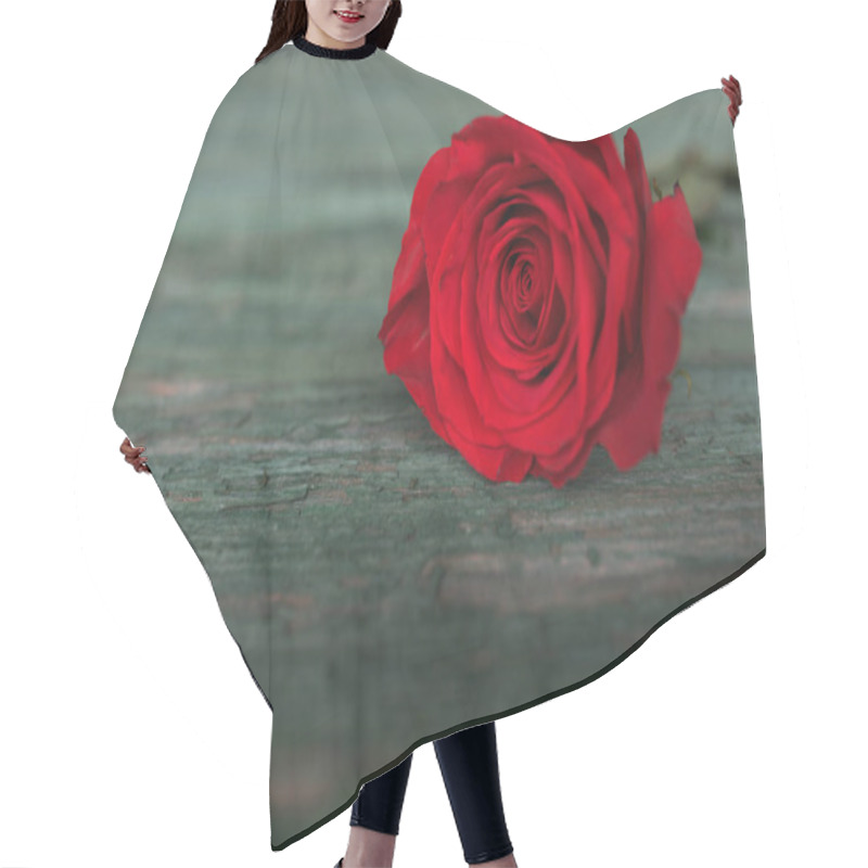 Personality  Beautiful Red Rose On Old Green Shabby Wood Symbolic For Love Hair Cutting Cape