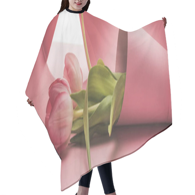 Personality  Tulips Wrapped In Pink Paper Swirls Isolated On White, Panoramic Shot Hair Cutting Cape