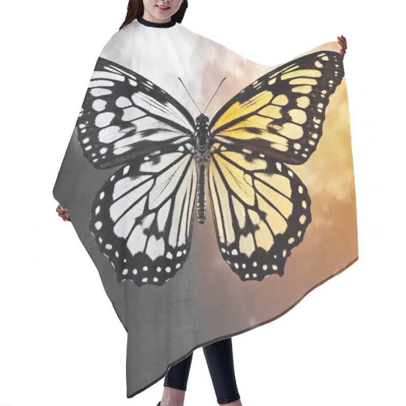 Personality  A High-resolution Digital Artwork Depicting A Split-scene Butterfly With Hyper-realistic Details. The Butterfly Is Divided In Half By A Vertical Line. The Left Half Is In Monochrome, Set Against A Textured Dark Concrete Wall, Showcasing Intricate Hair Cutting Cape