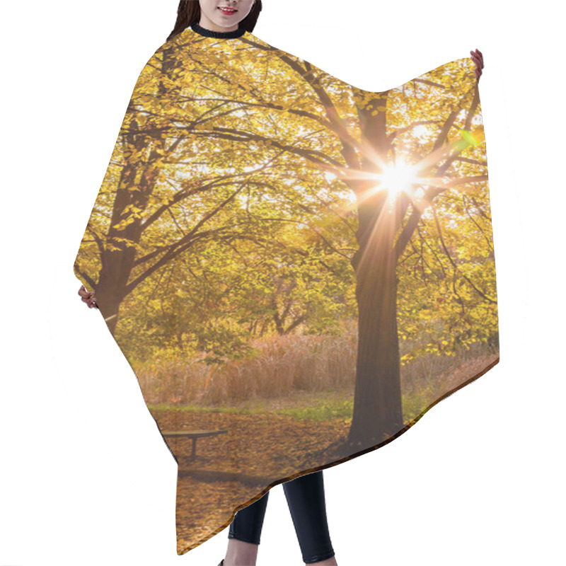 Personality  Autumn Sunny Alley In The Leaves, Through The Trees The Sun Brea Hair Cutting Cape