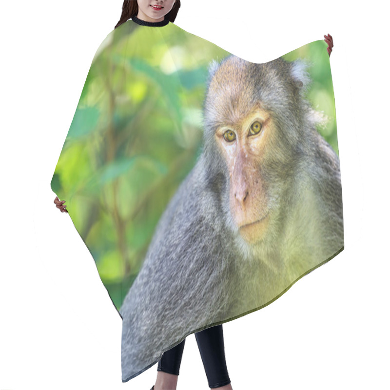 Personality  Monkey Mother And Baby In Natural Hair Cutting Cape