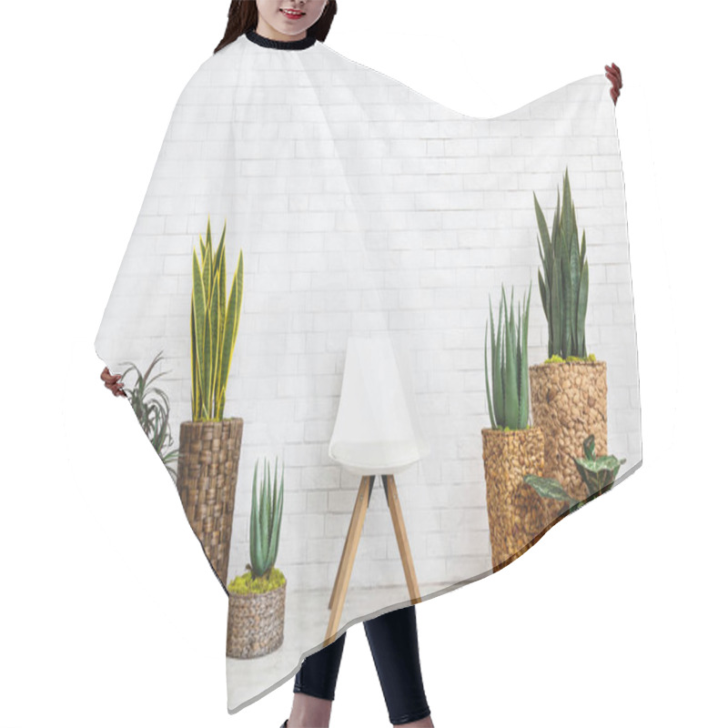 Personality  Home Garden And Chair On White Background Hair Cutting Cape