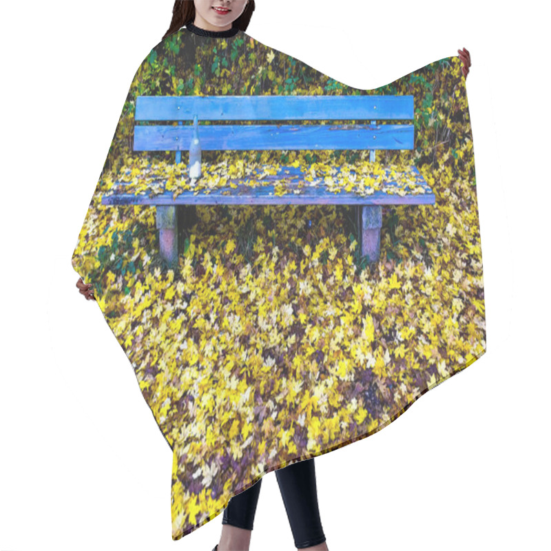 Personality  Blue Wooden Park Bench Among Yellow Autumn Leaves. High Quality Photo Hair Cutting Cape