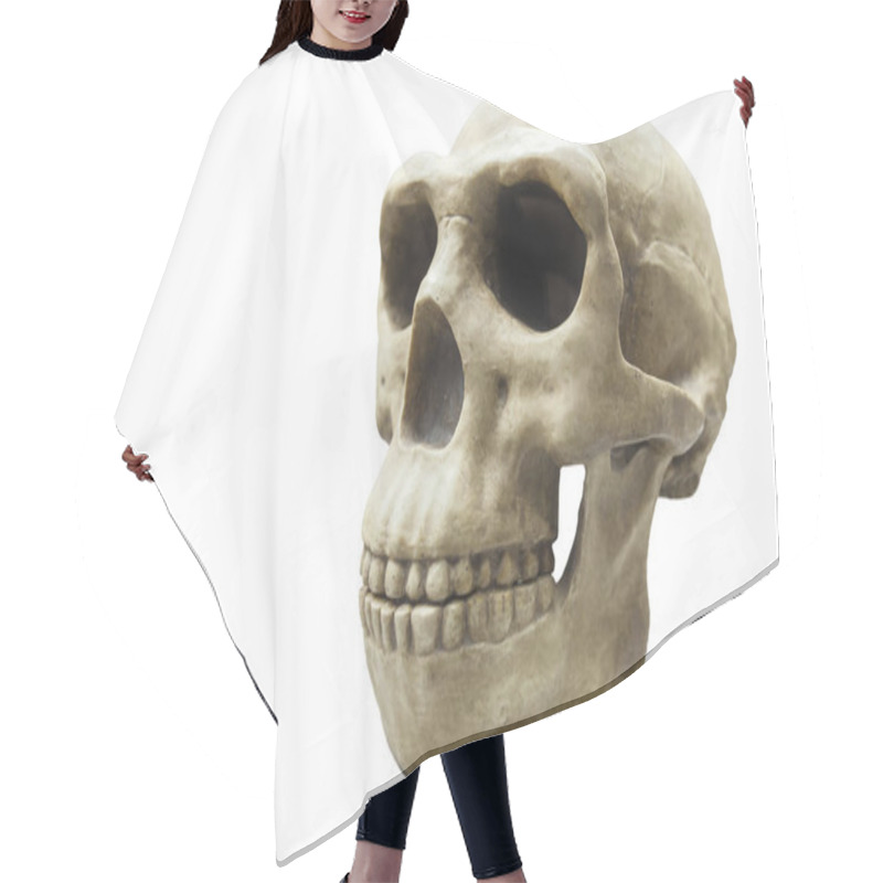 Personality  Skull Of Homo Erectus Hair Cutting Cape