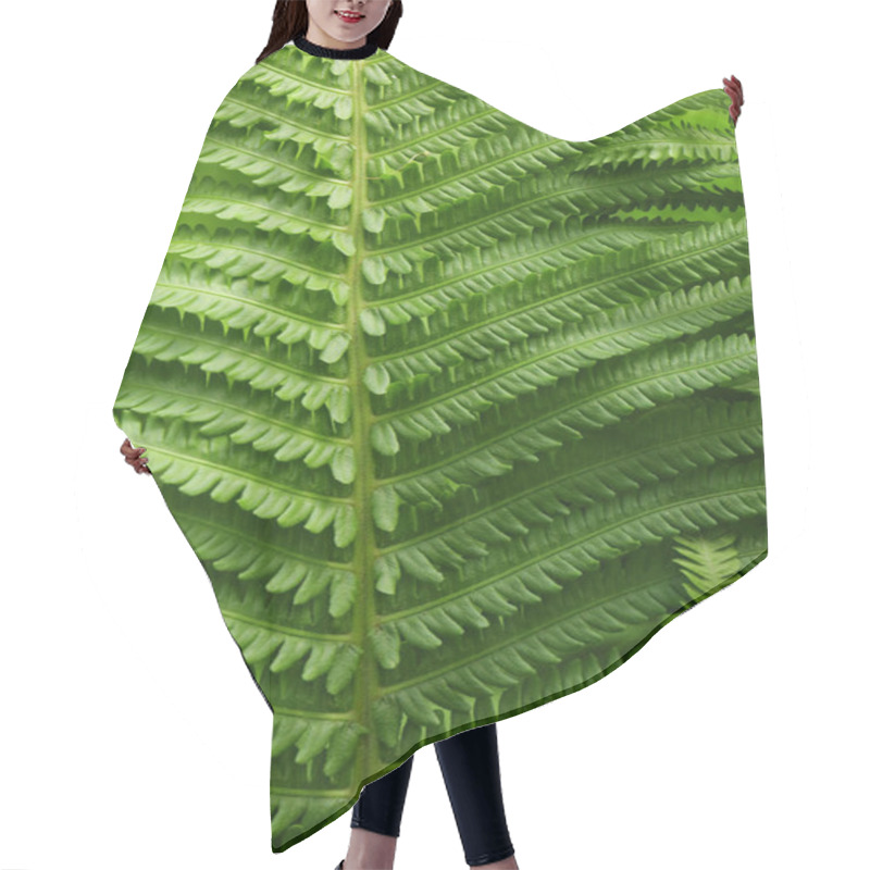 Personality  Beautiful Leaves Of Fern Hair Cutting Cape