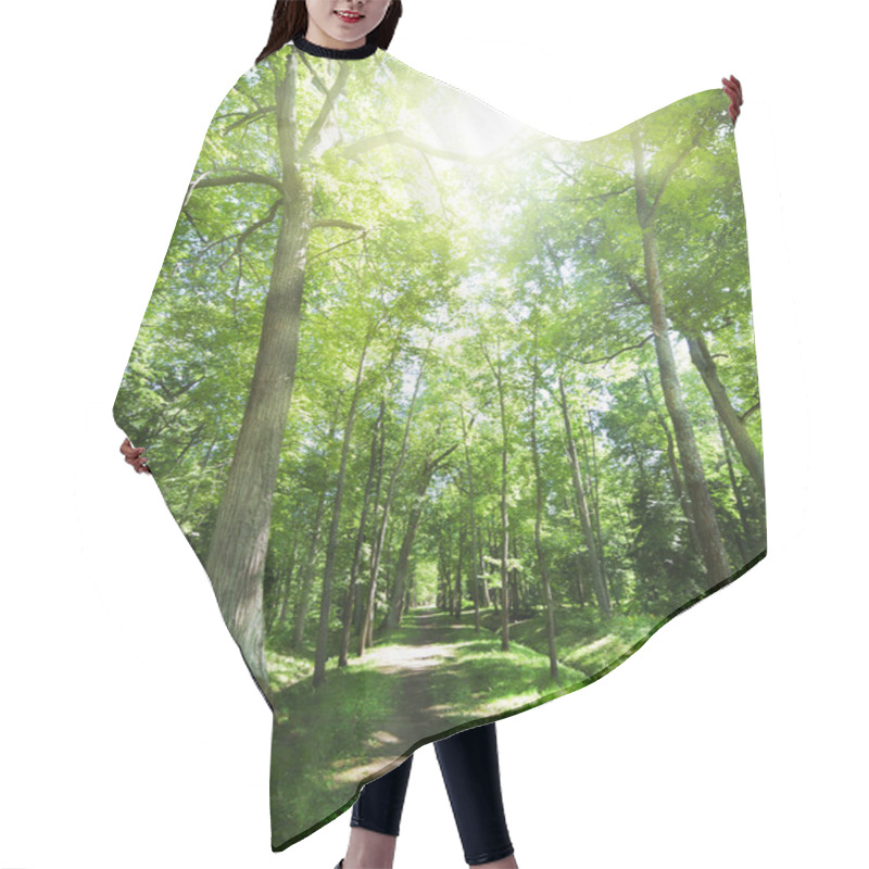 Personality  Footpat Between Trees In Green Forest Hair Cutting Cape