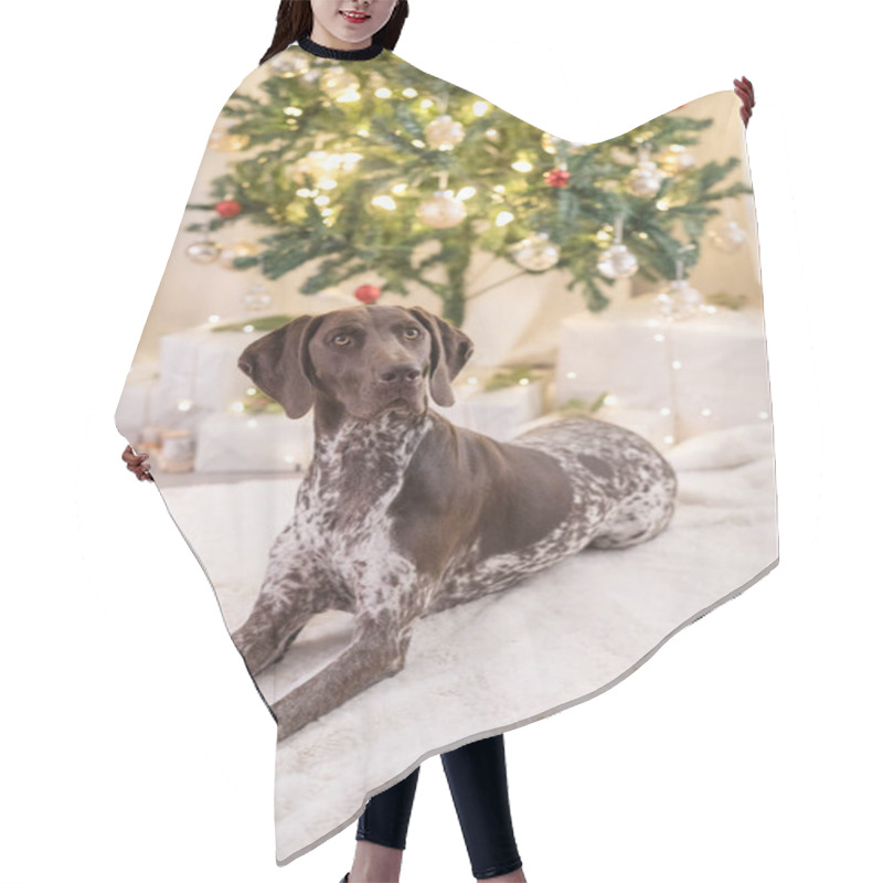 Personality  Dog Laying Down In Front Of Christmas Tree Hair Cutting Cape