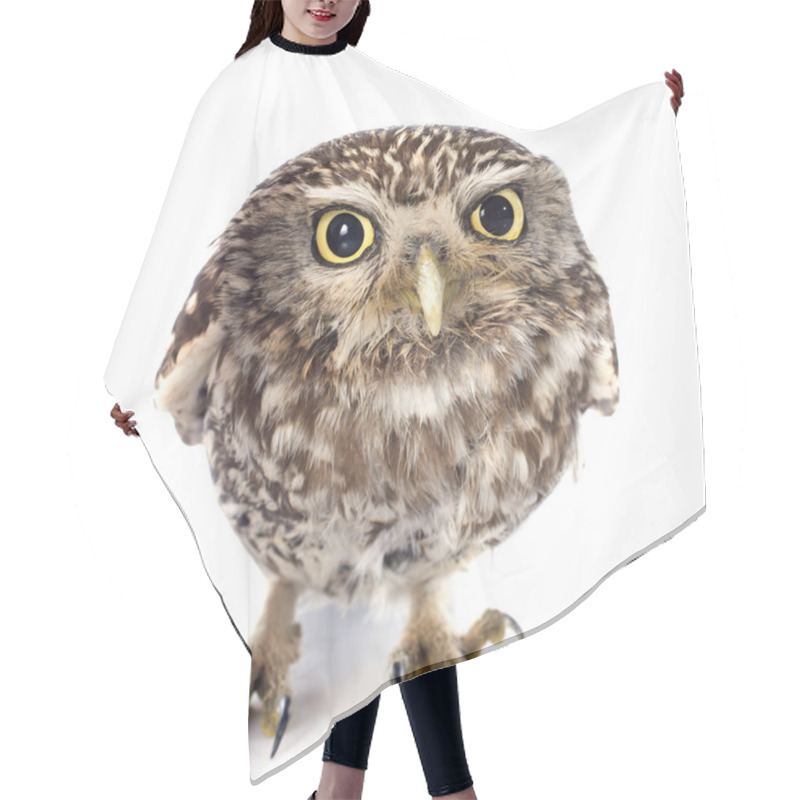 Personality  Little Owl Hair Cutting Cape