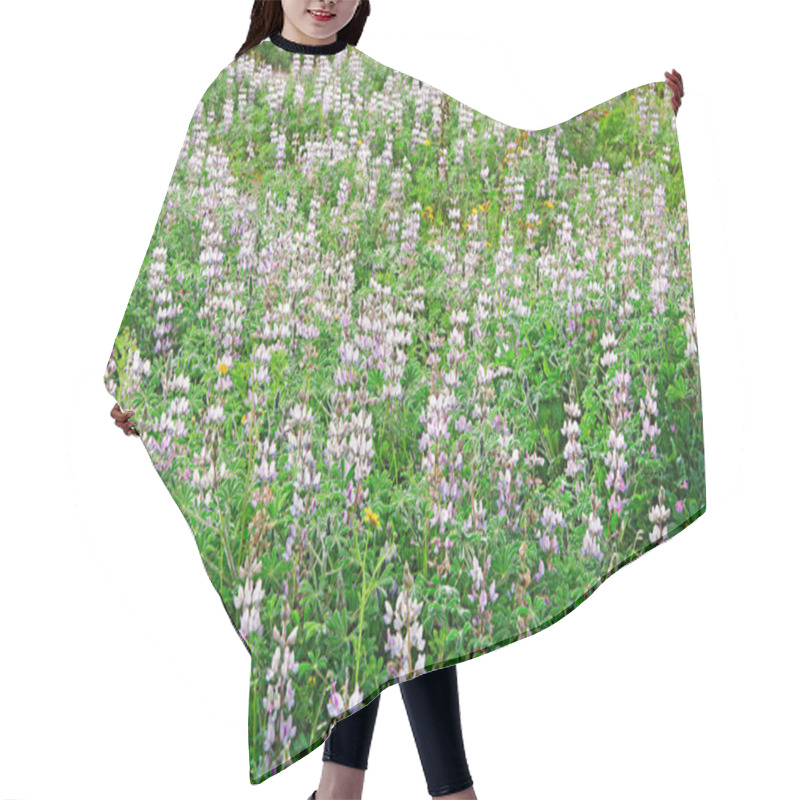 Personality  Flowering Field Hair Cutting Cape