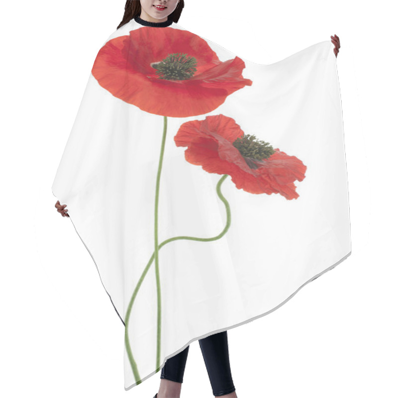 Personality  Poppy Hair Cutting Cape