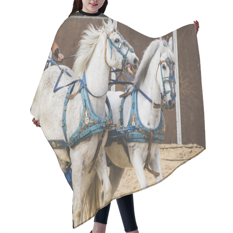 Personality  Roman Chariot On Gladiators Fight Hair Cutting Cape