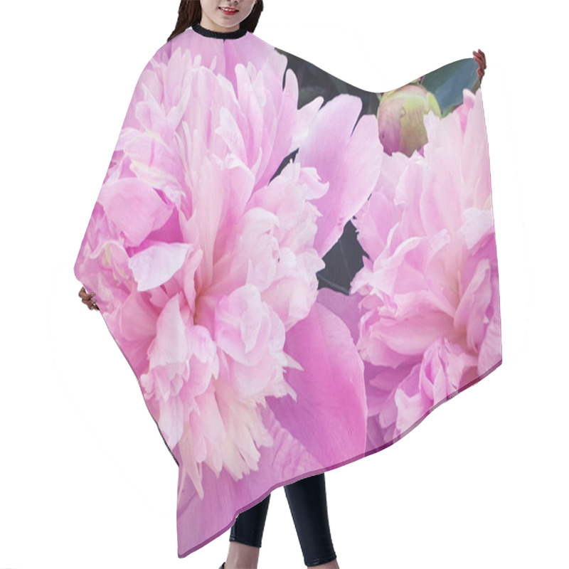 Personality  Pink Peony Rose Petals Peonies Background Hair Cutting Cape