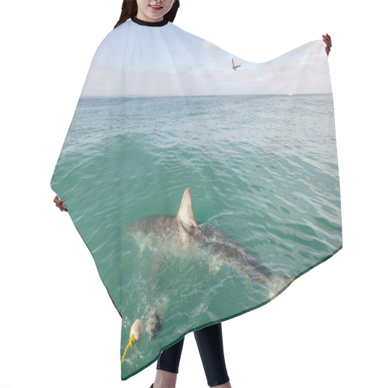 Personality  Great White Shark Hair Cutting Cape