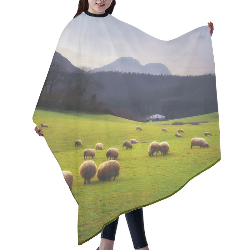 Personality  Sheep Grazing In Basque Country Hair Cutting Cape