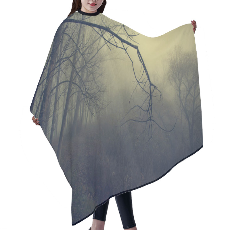 Personality  Mystic Forest A Foggy Day Hair Cutting Cape