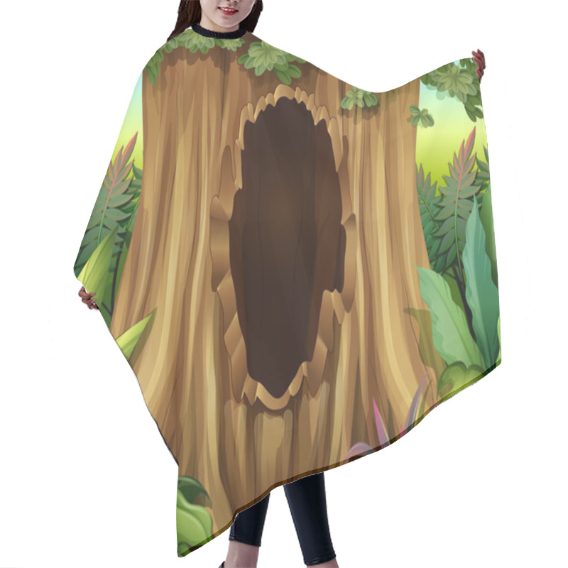 Personality  A Hole In A Big Tree Hair Cutting Cape