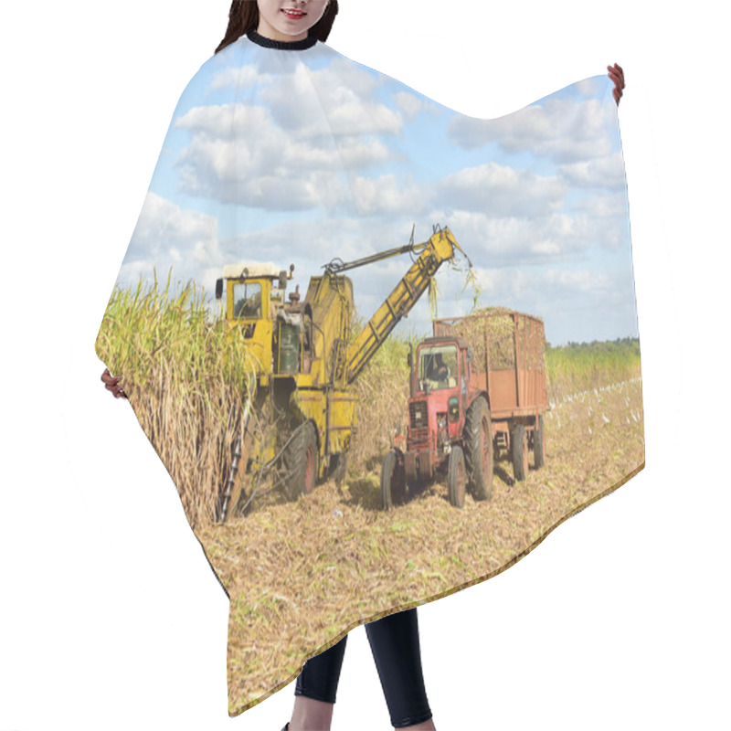 Personality  Sugar Cane Harvest Hair Cutting Cape