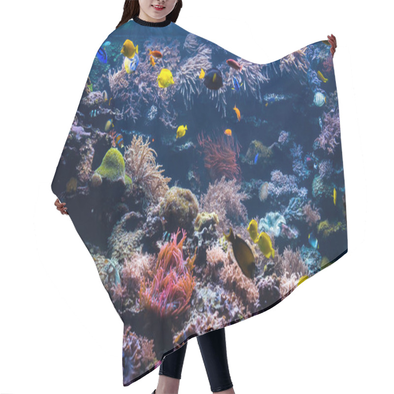 Personality  Beautiful Underwater World With  Tropical Fish Hair Cutting Cape