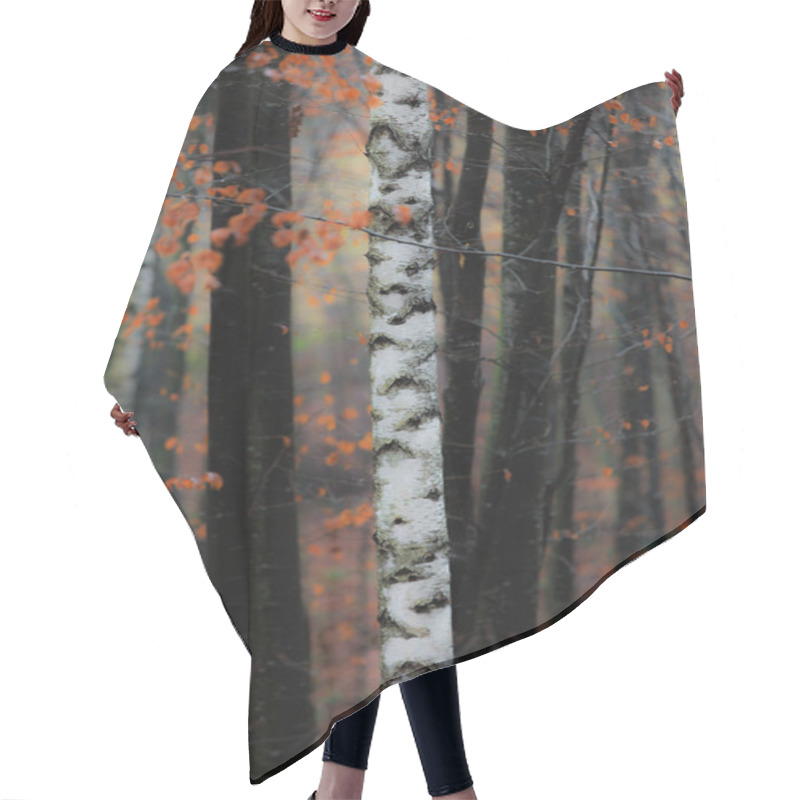 Personality  Autumn Scenery In The Forest Hair Cutting Cape