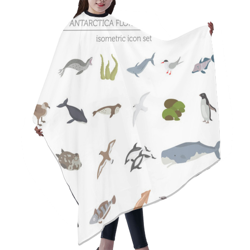 Personality  Isometric 3d Antarctica Flora And Fauna Map Elements. Animals, B Hair Cutting Cape