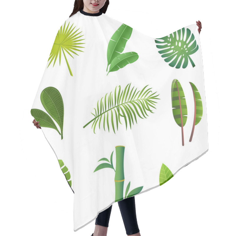 Personality  Tropical Plants Set. Vector Illustration Of Green Leaves Hair Cutting Cape