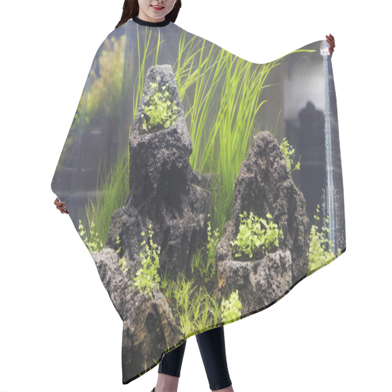 Personality  Freshwater Aquarium Hair Cutting Cape