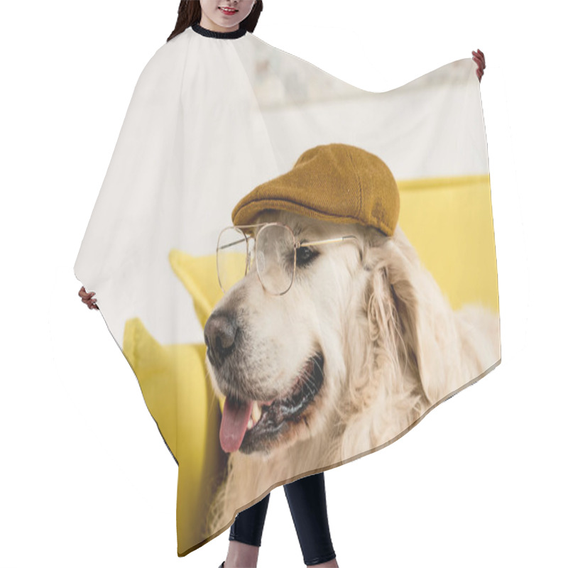 Personality  Funny, Adorable, Cute Golden Retriever In Cap And Glasses  Hair Cutting Cape