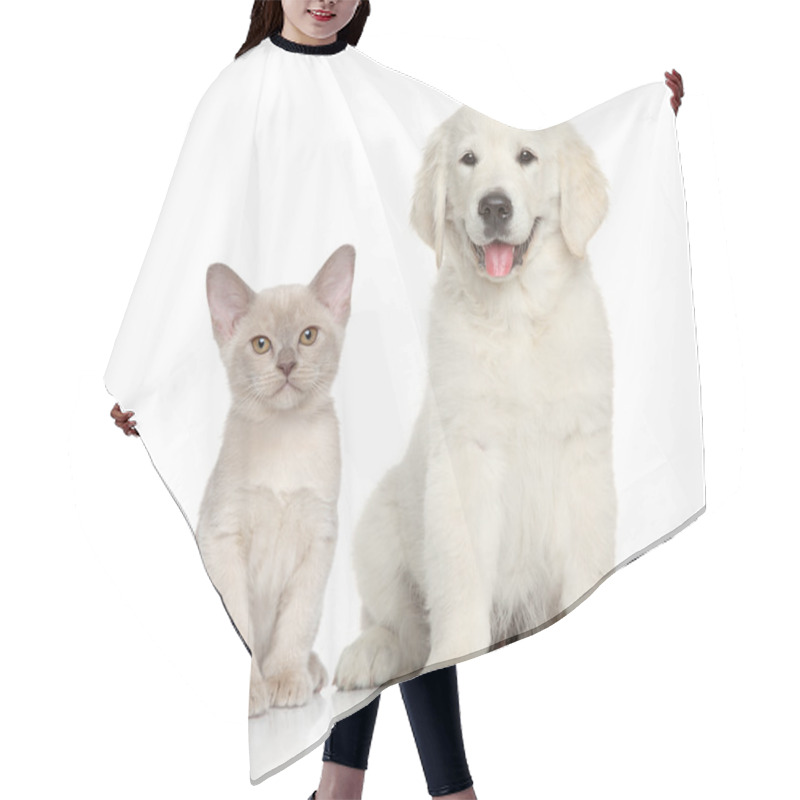 Personality  Cat And Dog On White Background Hair Cutting Cape