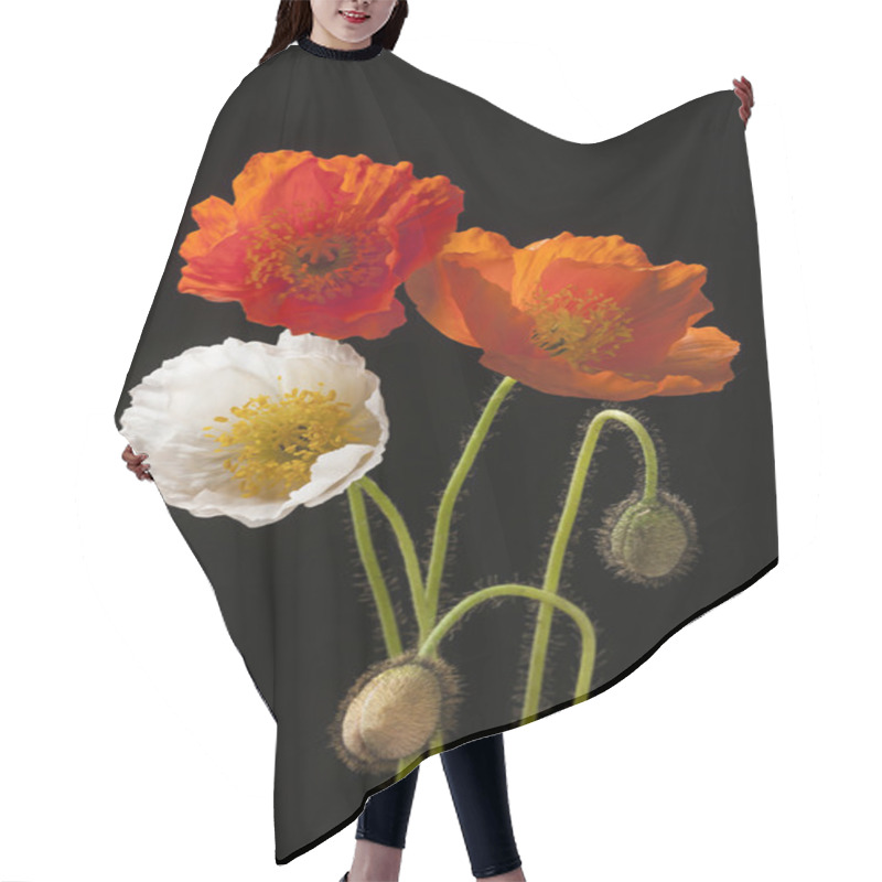 Personality  Poppy Flowers On Black Hair Cutting Cape