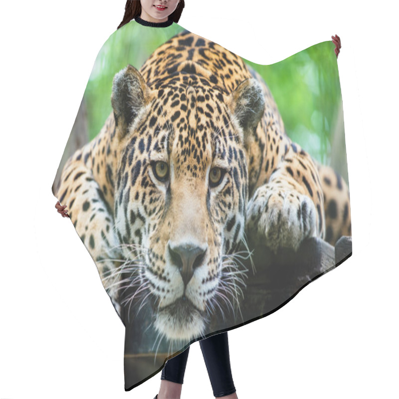 Personality  South American Jaguar Hair Cutting Cape