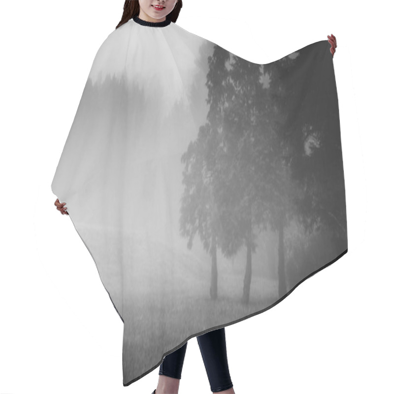 Personality  Landscape Of Foggy Forest, Monochrome. Hair Cutting Cape