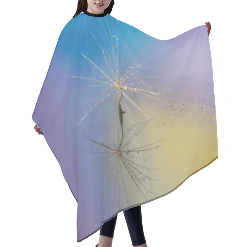 Personality  Detail Of Tiny Dandelion Seed Hair Cutting Cape