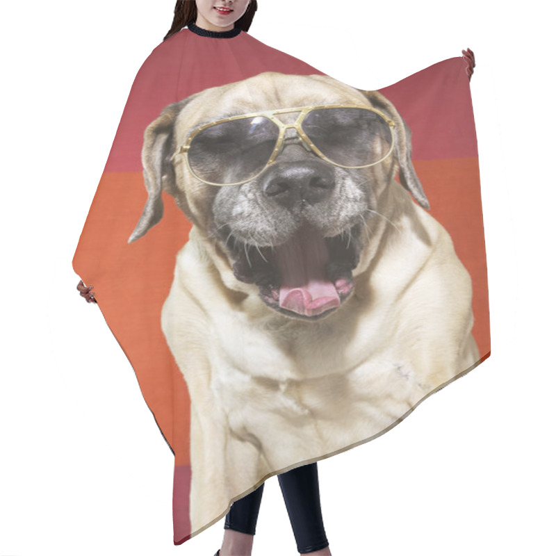 Personality  English Mastiff Dog Hair Cutting Cape