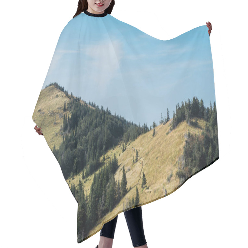 Personality  Yellow Field Near Green Fir Trees On Hills Against Blue Sky  Hair Cutting Cape