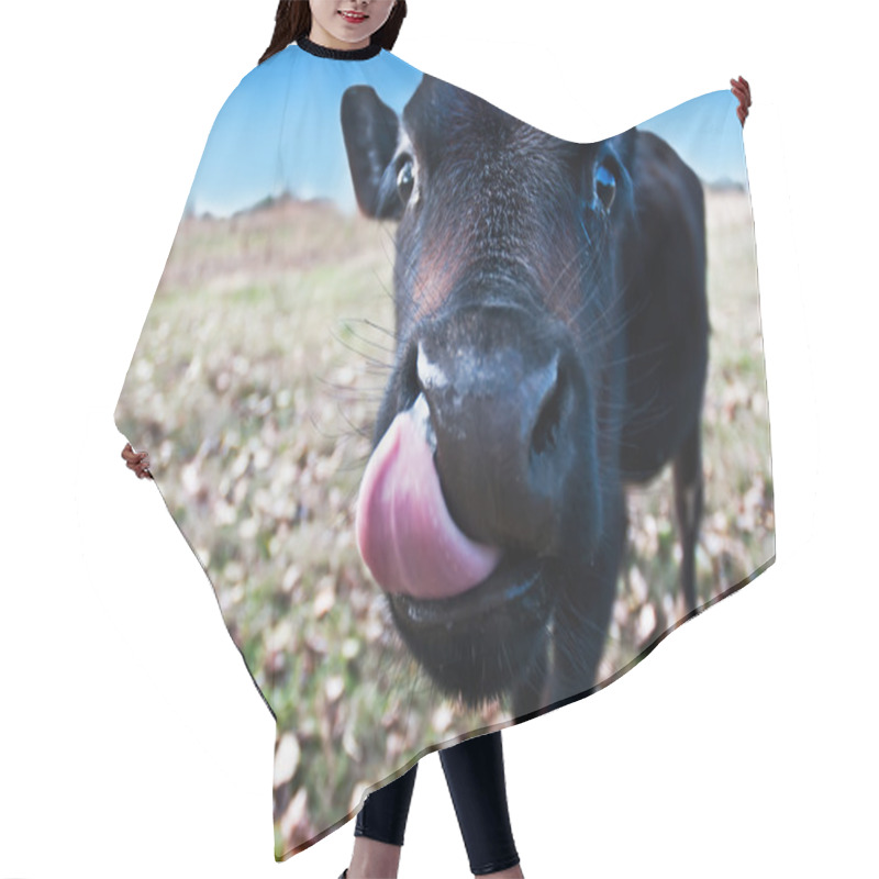 Personality  The Calf Puts Out The Tongue 2 Hair Cutting Cape