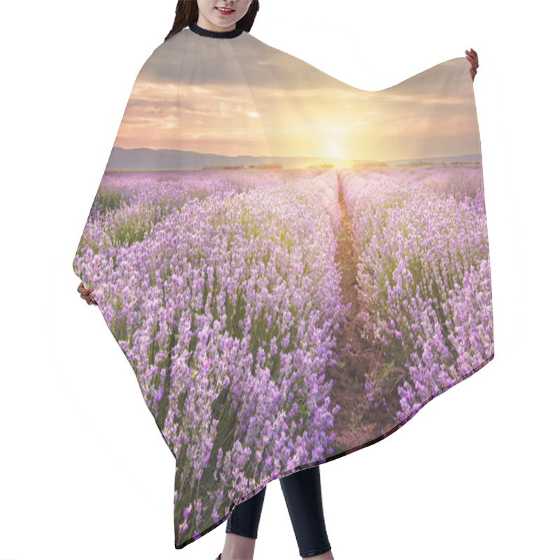 Personality  Sunrise Over Lavender Field In Bulgaria Hair Cutting Cape