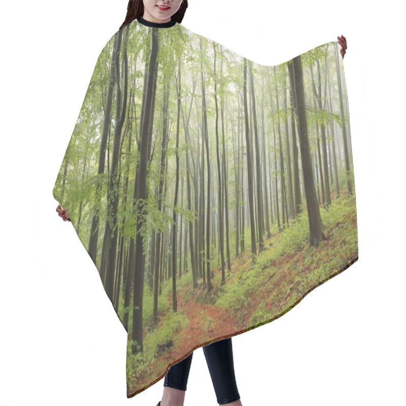 Personality  Path Through Misty Beech Forest Hair Cutting Cape