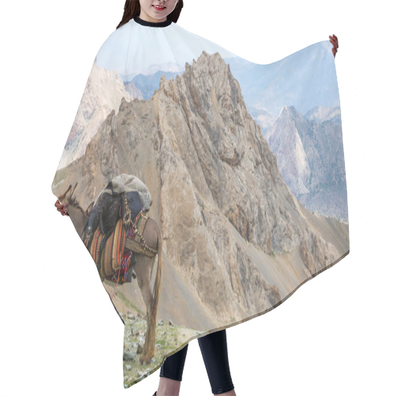 Personality  Cargo Donkey In Mountain Area Hair Cutting Cape