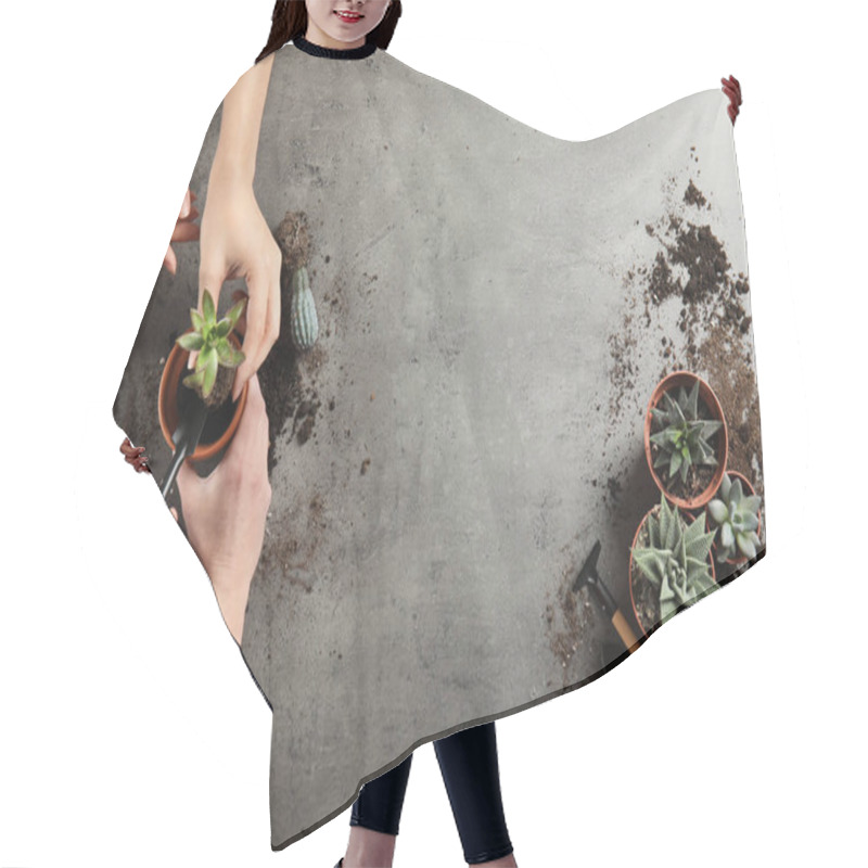 Personality  Women Transplanting Home Plants On Grey Background, Top View. Space For Text Hair Cutting Cape