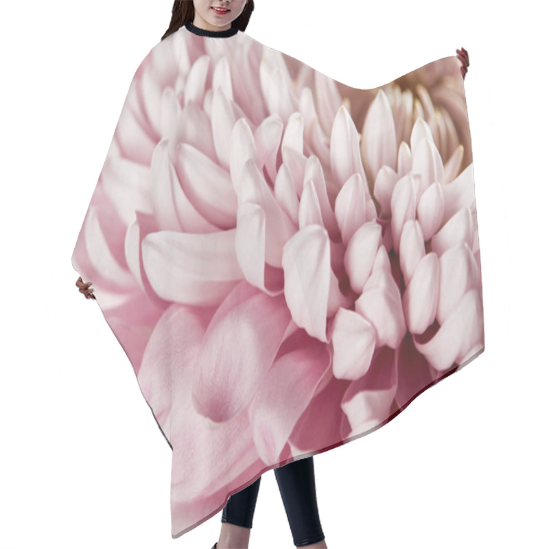 Personality  Close Up View Of Pink Chrysanthemum Hair Cutting Cape