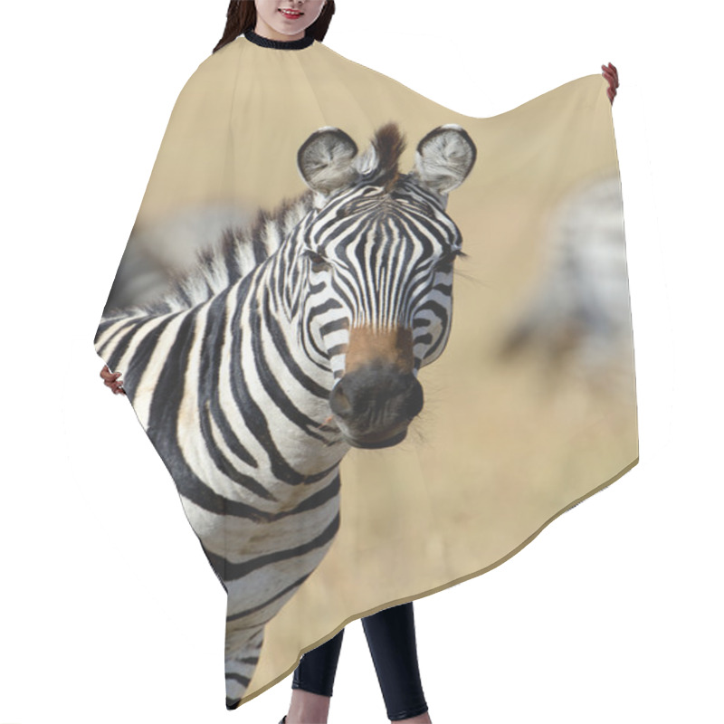 Personality  Zebra Hair Cutting Cape