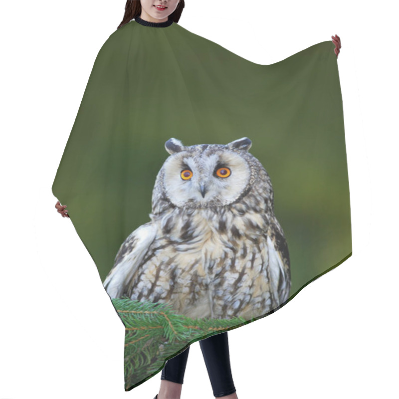 Personality  Long-eared Owl Hair Cutting Cape