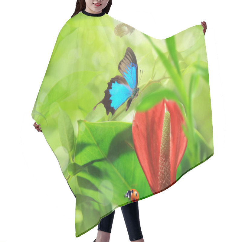 Personality  Beautiful Nature Theme Hair Cutting Cape