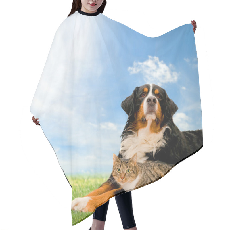 Personality  Dog And Cat Together Hair Cutting Cape