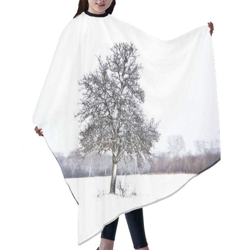 Personality  Flatland With Snow In Winter With Trees Hair Cutting Cape