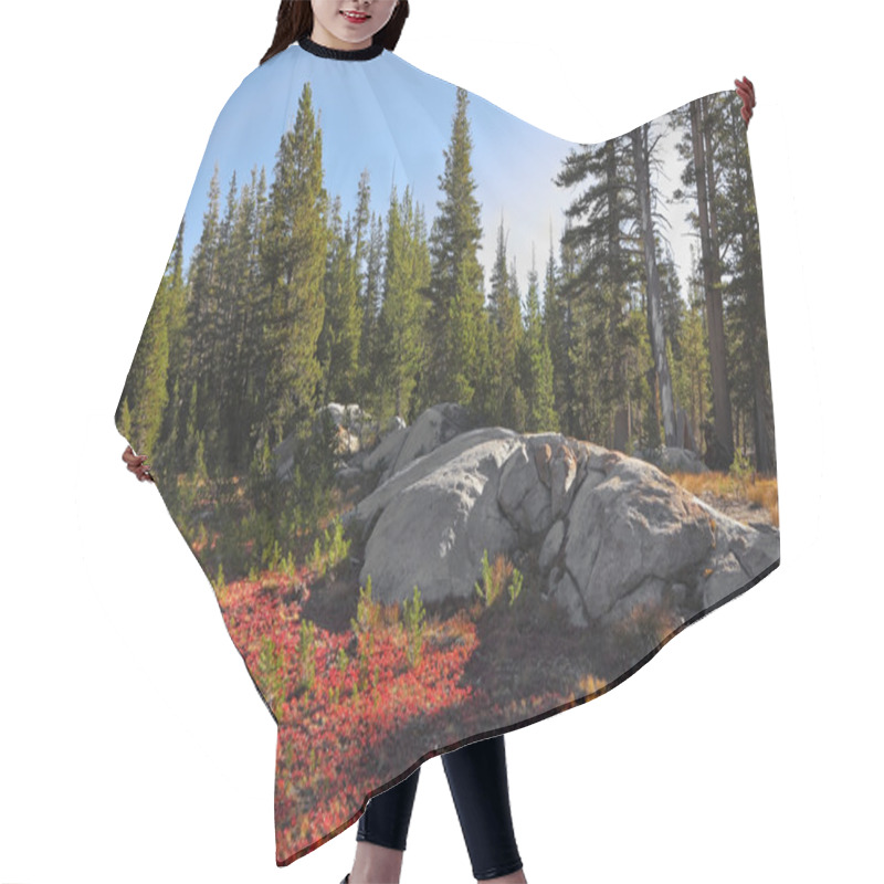 Personality  Clear Solar Morning And Red Moss Hair Cutting Cape